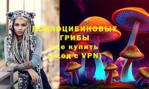 сатива Пересвет