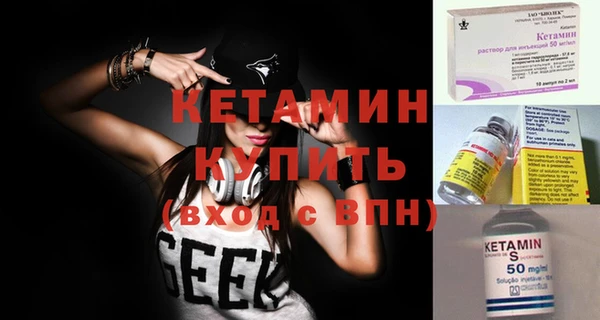 сатива Пересвет