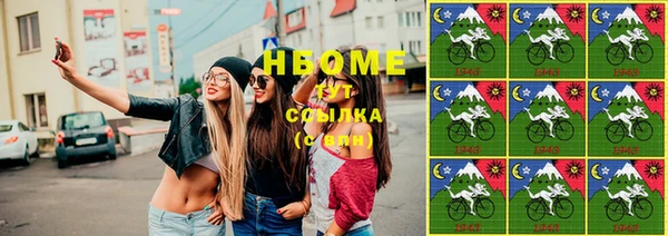 сатива Пересвет