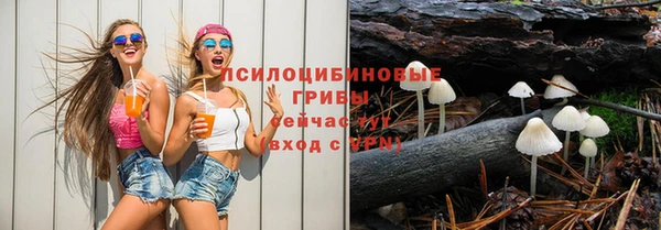 сатива Пересвет