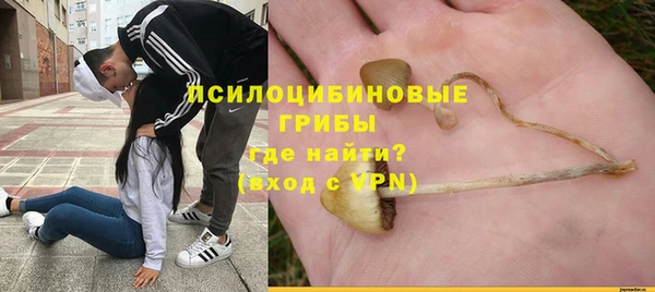 a pvp Пестово