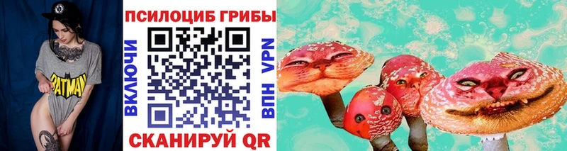 Галлюциногенные грибы MAGIC MUSHROOMS  как найти закладки  ссылка на мегу сайт  даркнет формула  Правдинск 